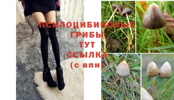 бутик Аркадак