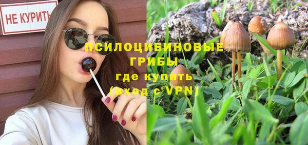 прущая мука Армянск