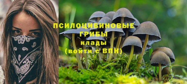 не бодяженный Арсеньев