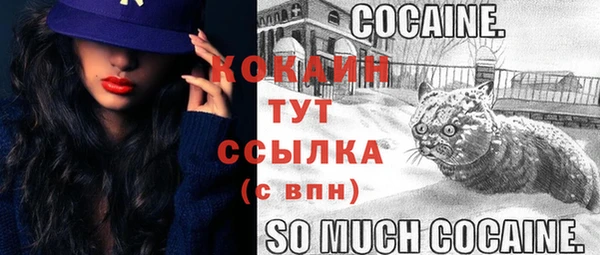 прущая мука Армянск