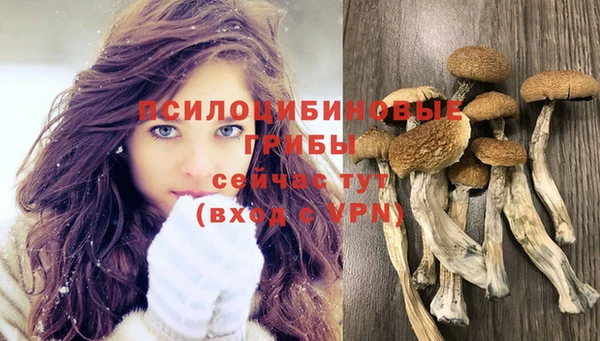 прущая мука Армянск