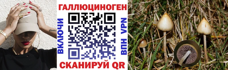 Галлюциногенные грибы ЛСД  KRAKEN маркетплейс  Безенчук 